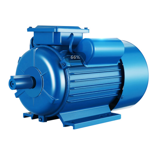 Ngaohiko Nui 6KV Induction Motor