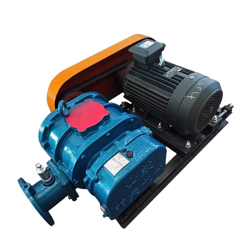 Haruru iti Tere Tonu Toru Taupu Rotor Roots Vacuum Pump